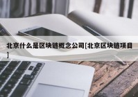 北京什么是区块链概念公司[北京区块链项目]